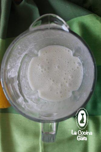 Mezcla de Coco y Yogur