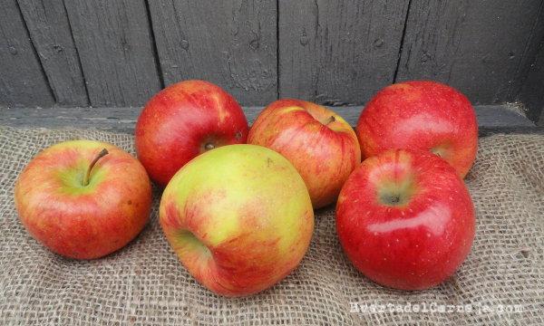 Manzanas Elstar maduras