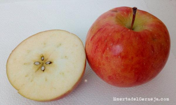 Manzanas Elstar
