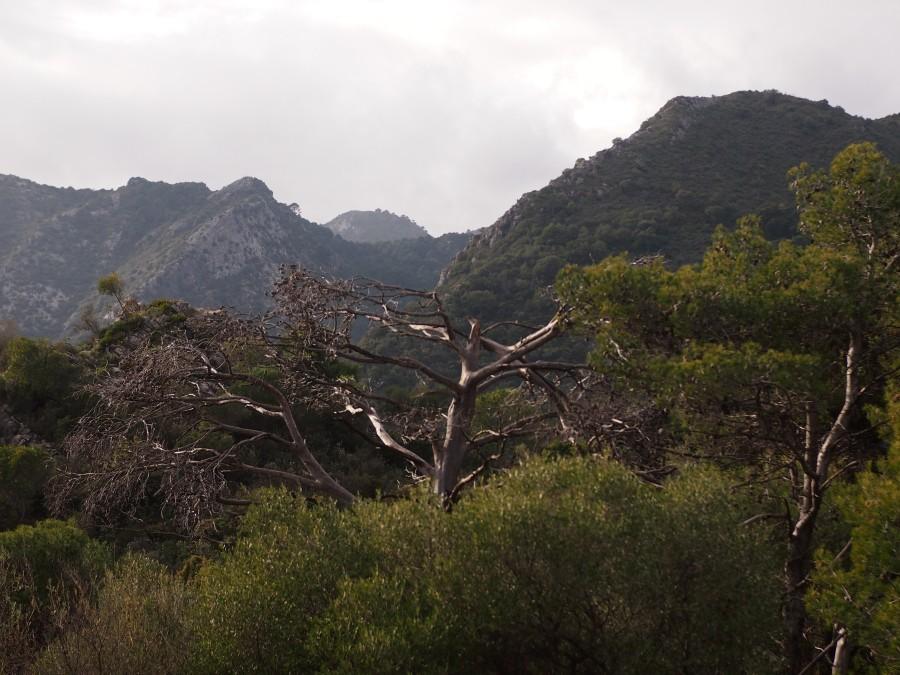 Paisaje desde lo alto de la reserva