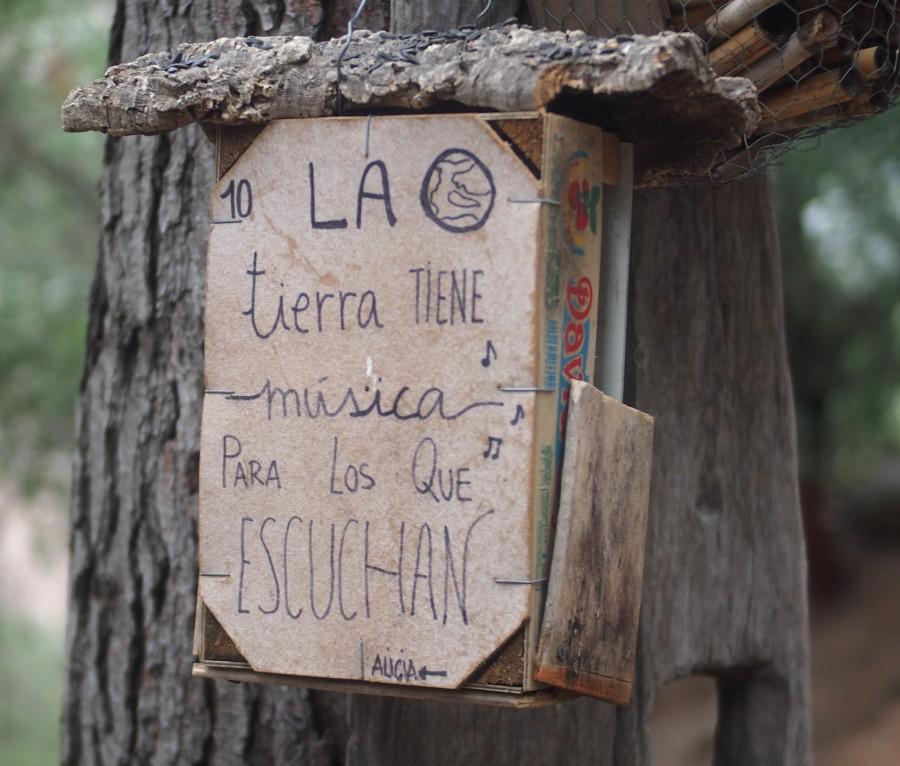 Caja con mensaje: "La tierra tiene musica para los que escuchan"