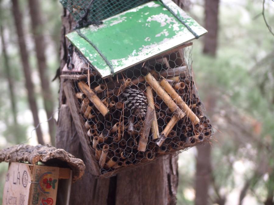 Hotel de insectos rśtico hecho en caja de madera