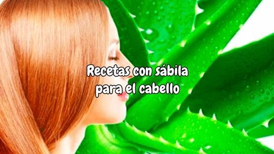 Recetas con sábila para el cabello