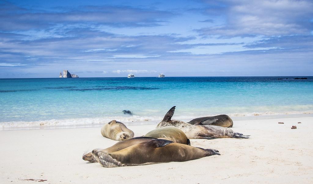 Galapagos