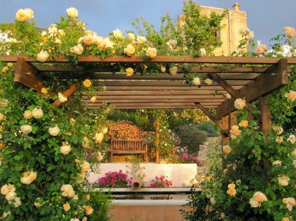 jardín pergolas rosas