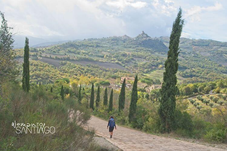 Peregrina caminando por un sendero y bosque verde