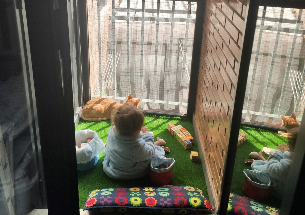 bebe y gato