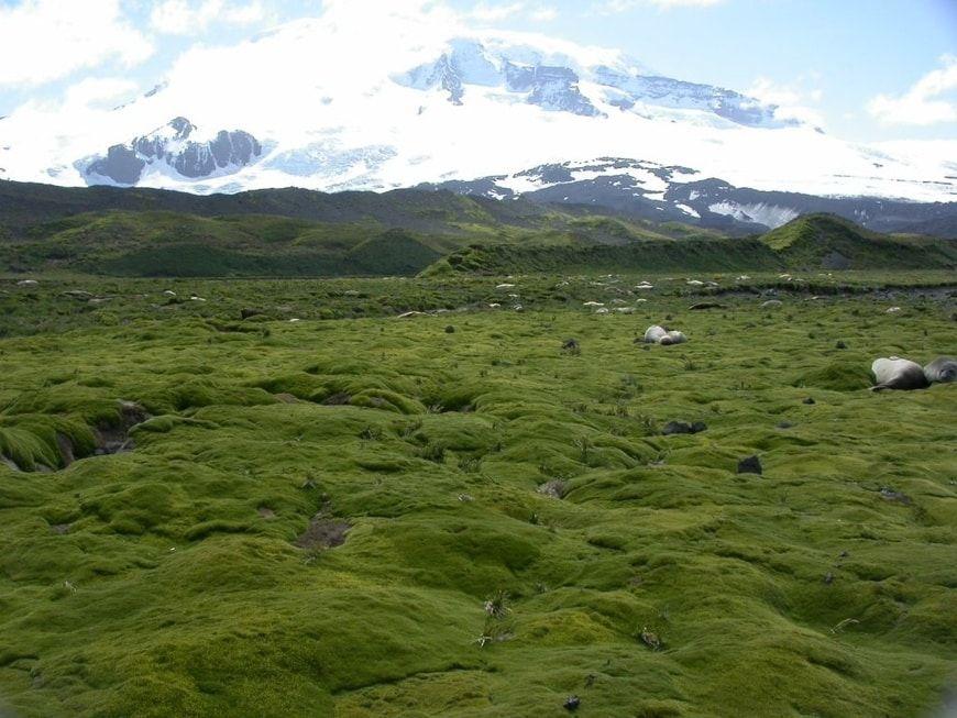 Volcán Big Ben, Islas Heard