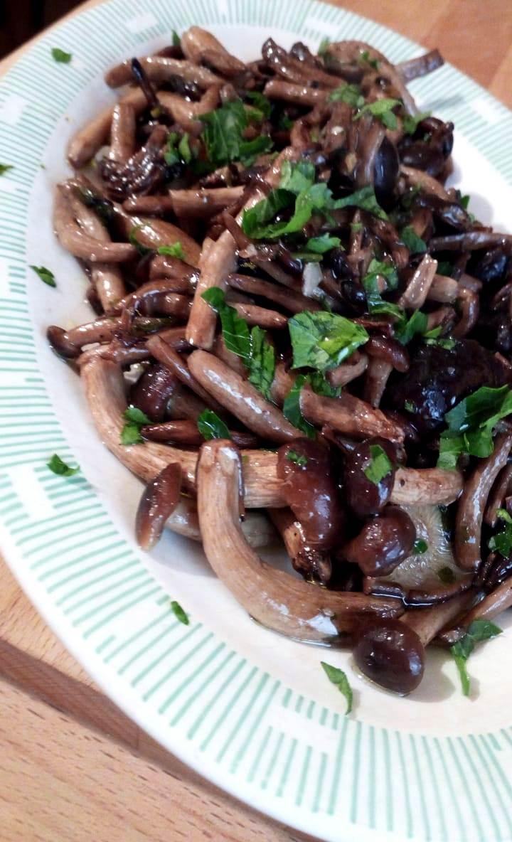 Armillaria mellea recetas o hongos de miel al ajillo - Funghi chiodini trifolati - Honey fungus recipes