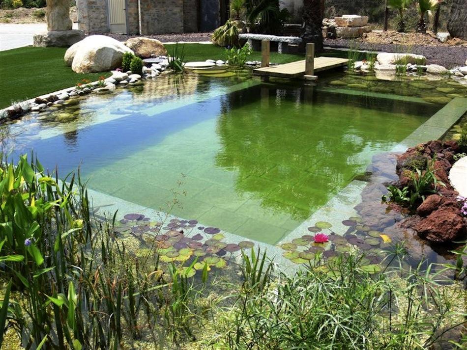 Piscina-natural