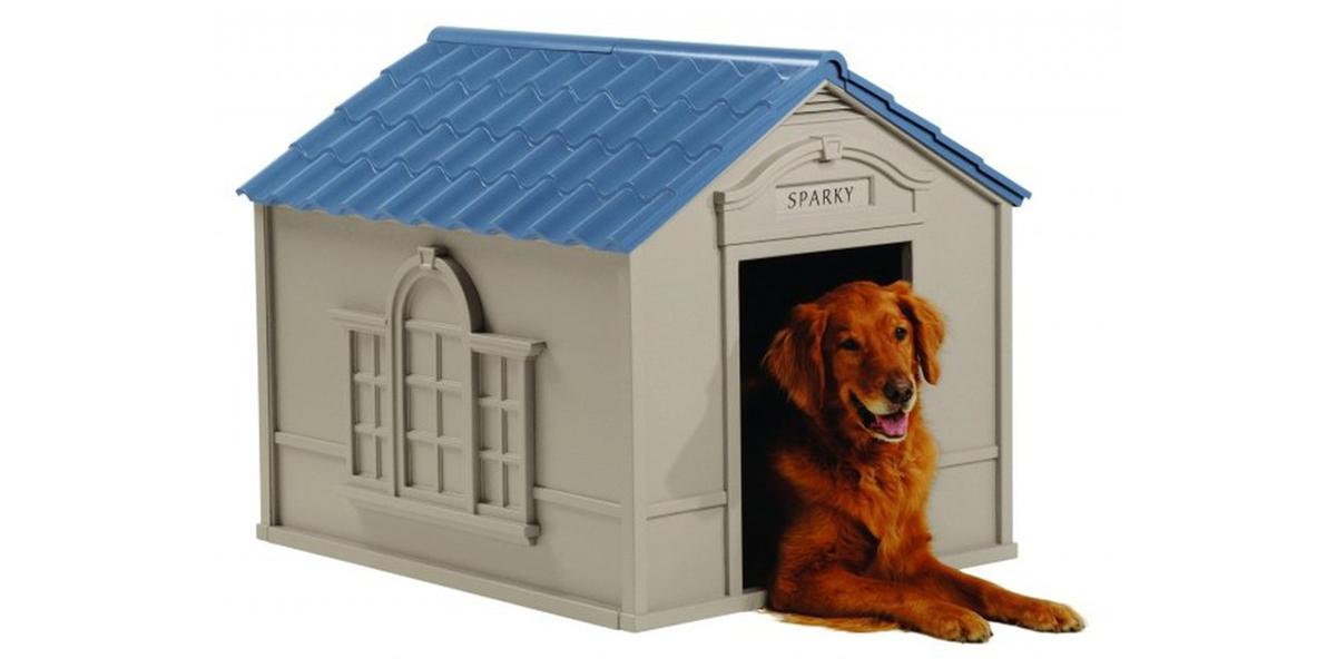 Caseta de perro