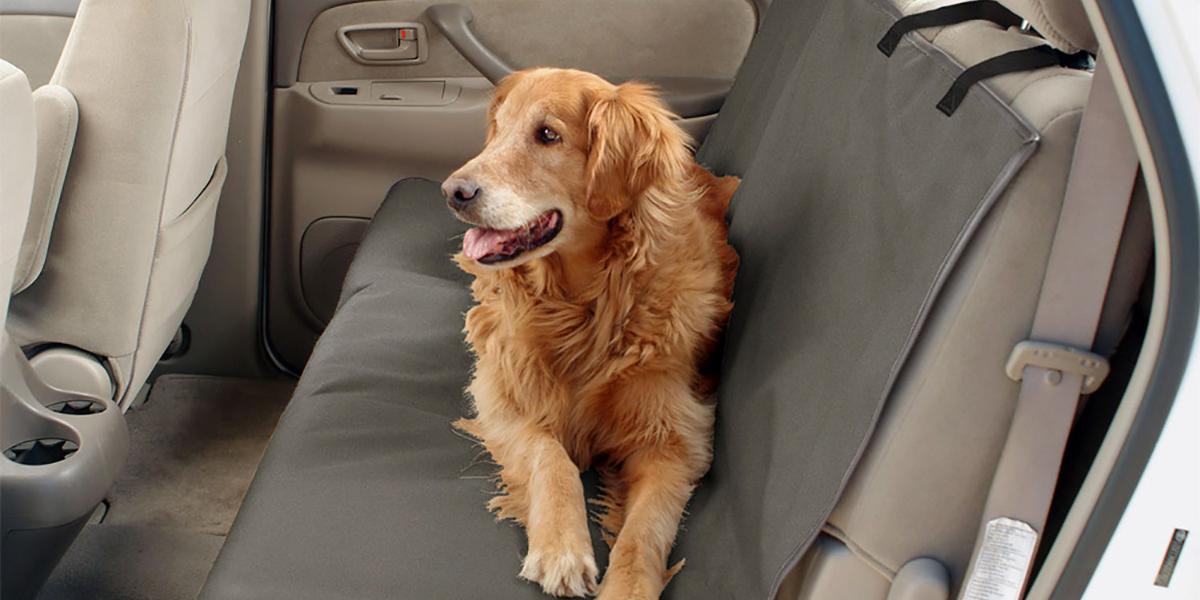 Funda para el coche