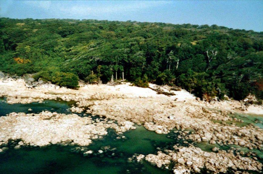 Selva en la isla Sentinela, parte del archipiélago de las Andamán