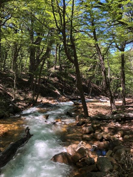 camino al refugio frey