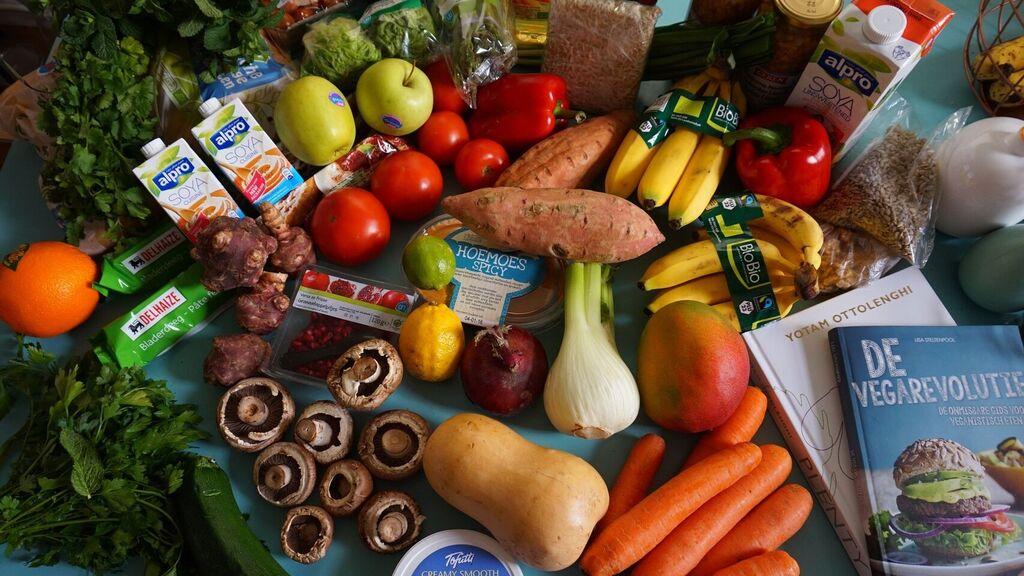 Alimentacion 2