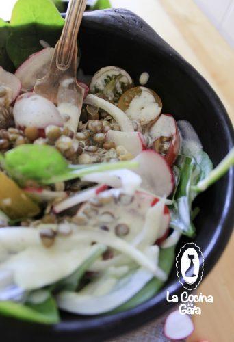 Bowl de Lentejas con salsa de yogur y Cilantro