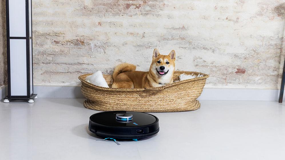 Cecotec Conga 4490 - Cepillo para mascotas