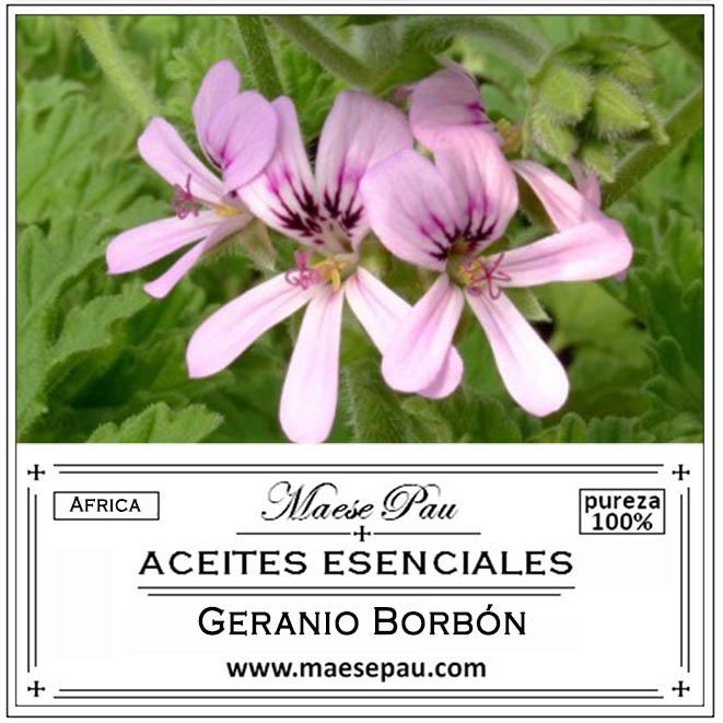 aceite esencial de geranio borbón