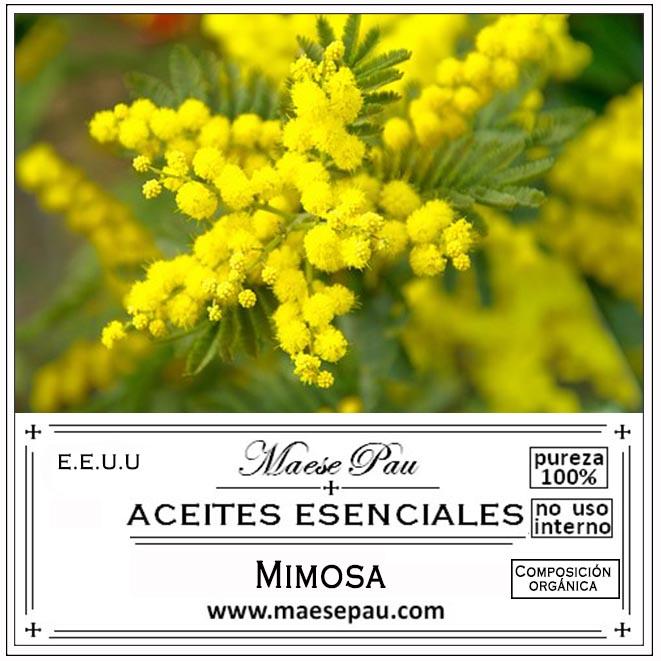 esencia aromática de mimosa