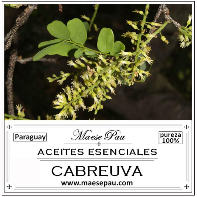 aceite esencial de cabreuva