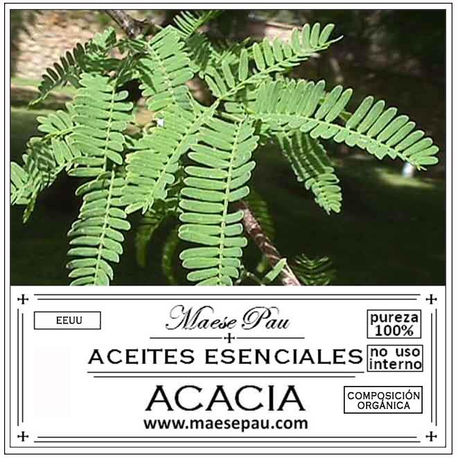 esencia aromática de acacia