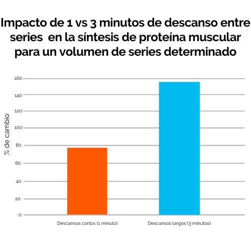 5 impacto de 1 vs 3 minutos de descanso entre series en la síntesis de proteína muscular para un volumen de series determinado
