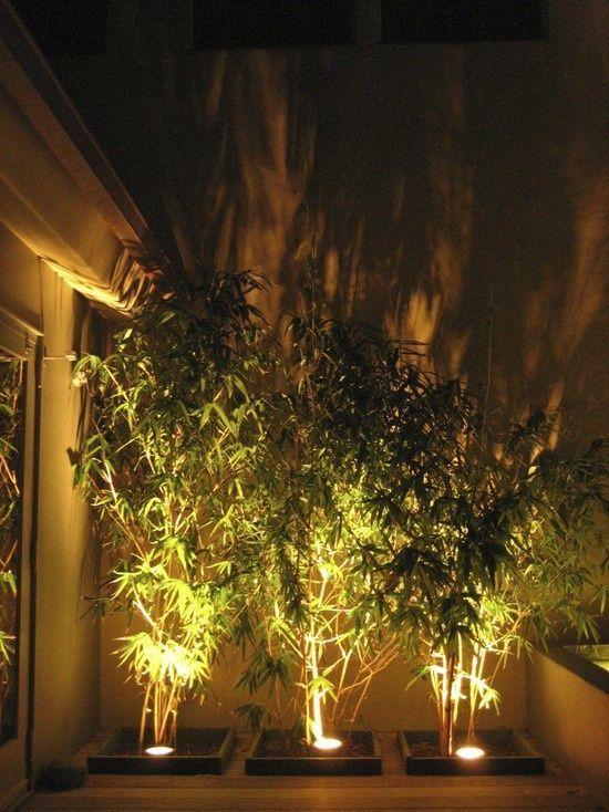 decoración de paisaje en un jardín