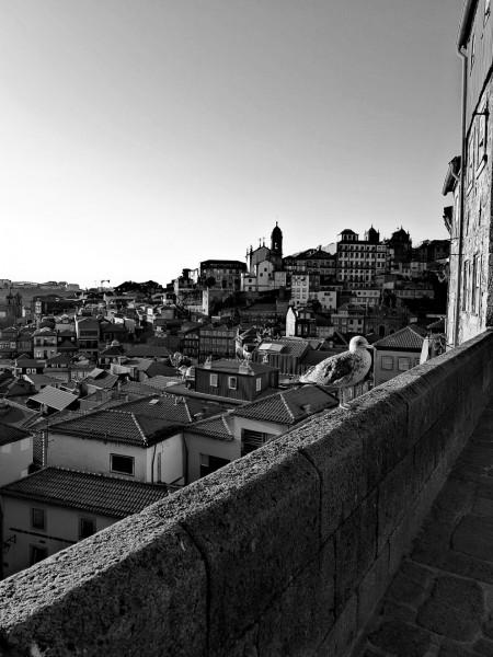 Qué ver en Oporto, Vistas desde la Catedral de la sé