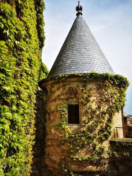 Qué ver en Navarra, Interior del Castillo de Olite
