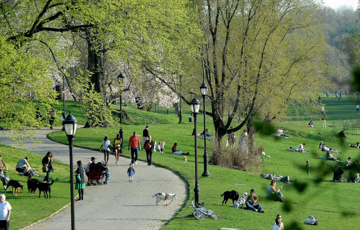 Prospect Park