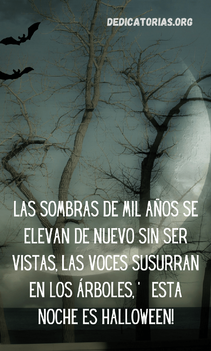 dedicatoria de miedo para halloween