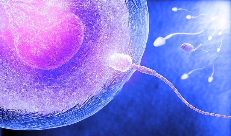 ¿Qué es la inseminación artificial? - Apréndete