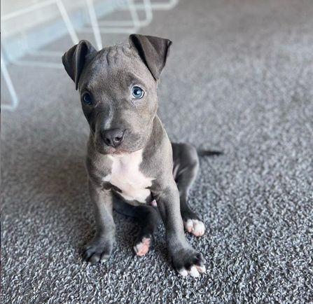 Deshacerse del miedo