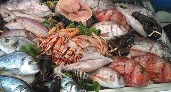 Pescado de mar para perros