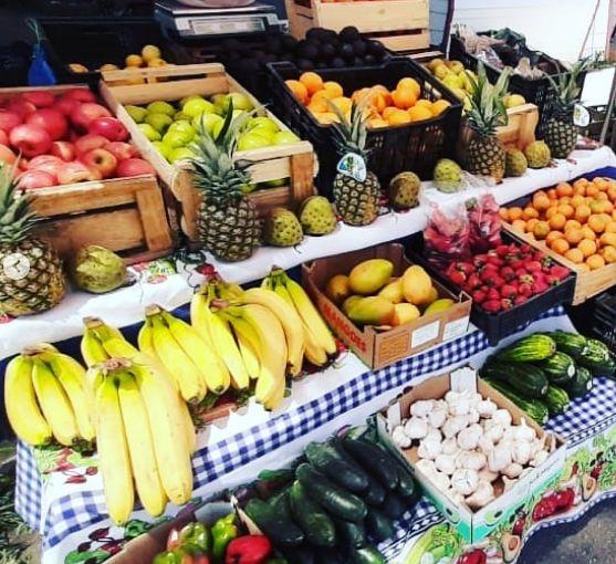 Frutas y vegetales para perros