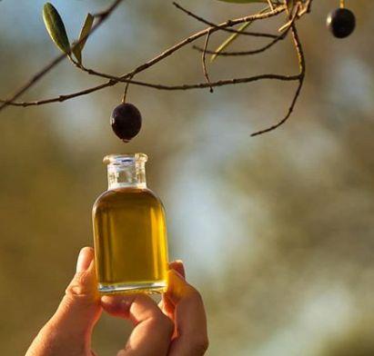 Aceite vegetal para perros