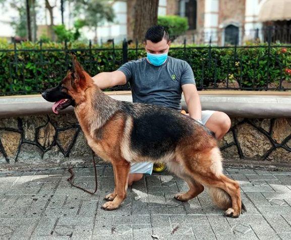 Revisar a su cachorro para detectar alergias