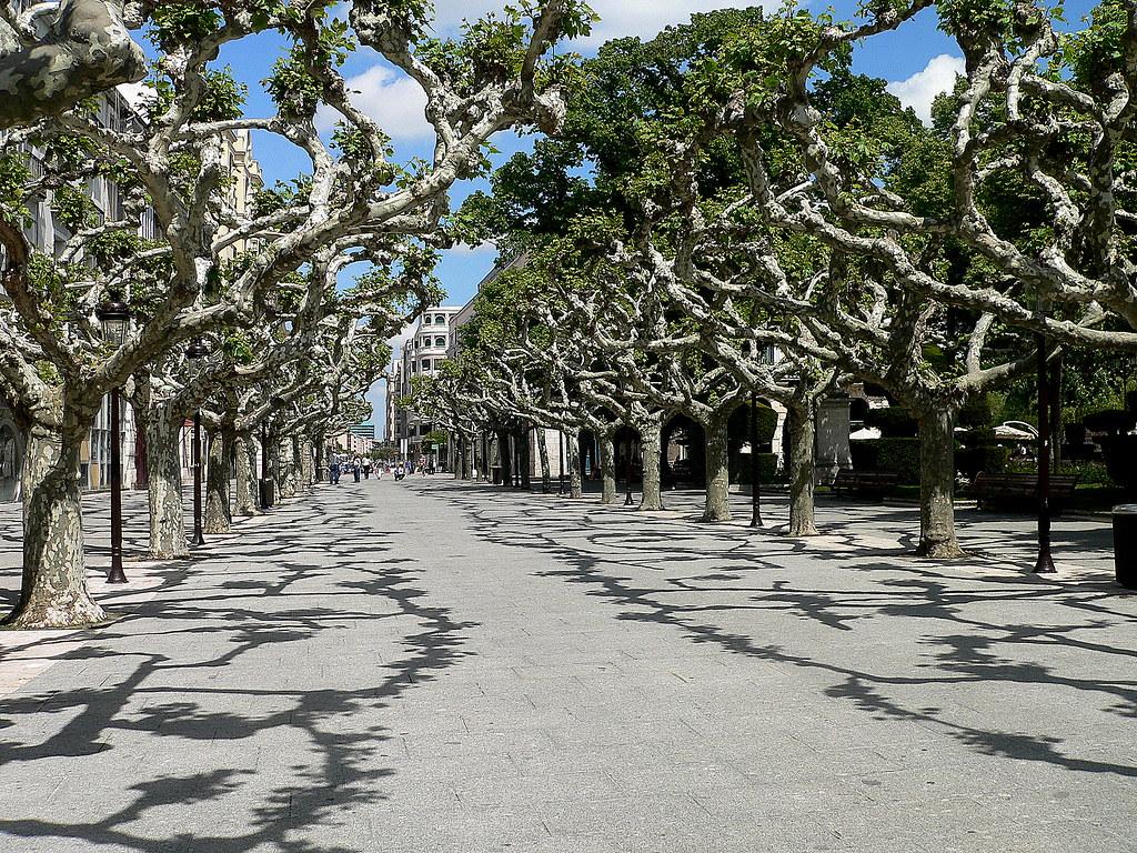 Burgos, Paseo del Espolón