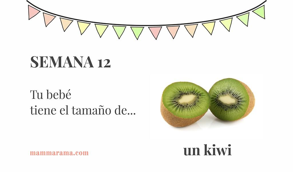 Semana 12 de embarazo: tu bebé tiene el tamaño de un kiwi