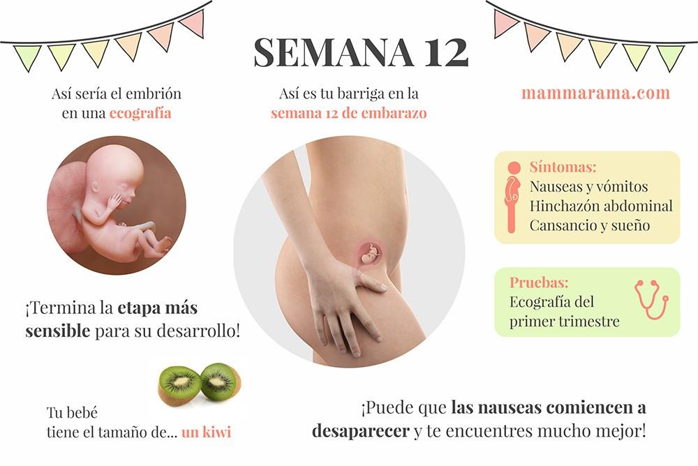 semana 12 de embarazo: síntomas pruebas ecografía tamaño bebé barriga
