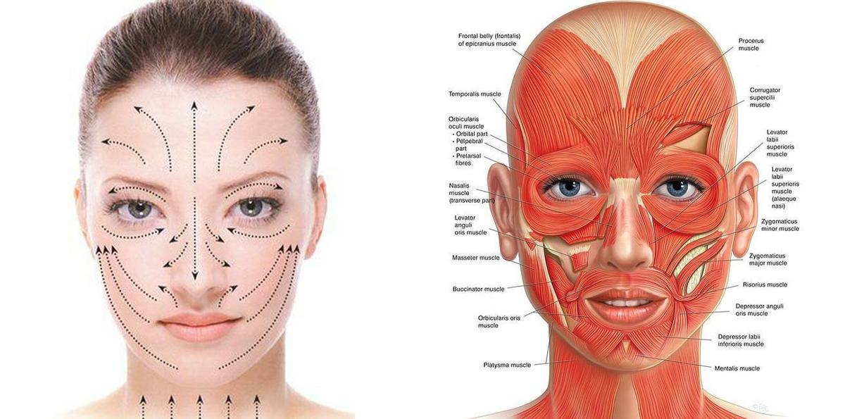 como hecharme crema de manera correcta, pasos para dar un masaje facial
