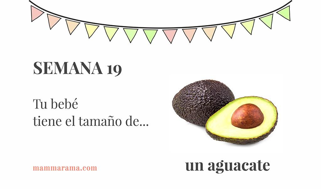Semana 19 de embarazo: tu bebé tiene el tamaño de un aguacate