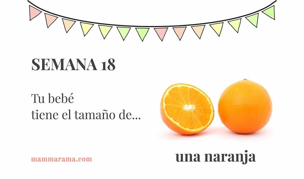 Semana 18 de embarazo: tu bebé tiene el tamaño de una naranja