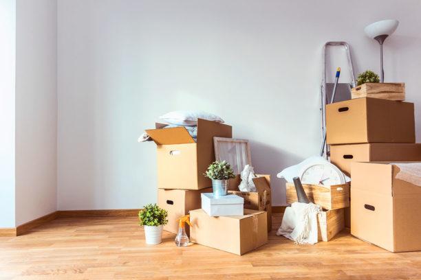 cajas de mudanza