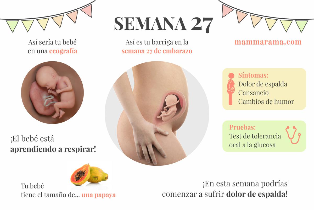 semana 27 de embarazo: síntomas pruebas ecografía tamaño bebé barriga