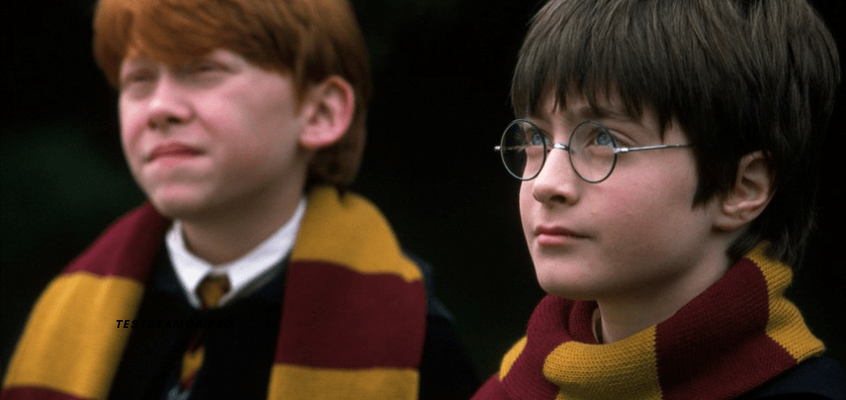 Harry Potter y Ron