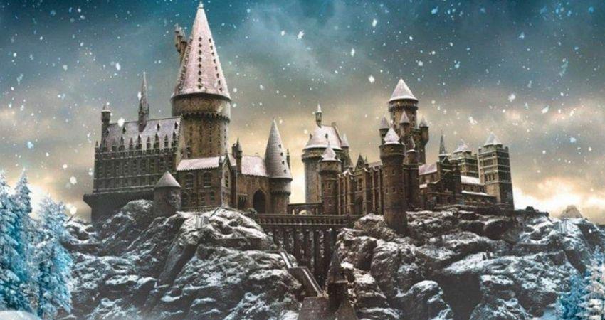 primera navidad de Harry Potter