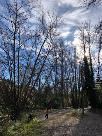 pinada que encontramos en la ruta