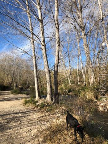 ruta a orillas del río Buñol