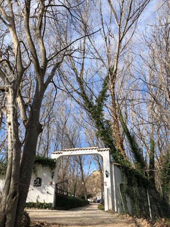 últimos molino en la ruta